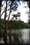 IMG_7225