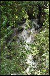 IMG_7280