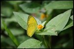 IMG_7324