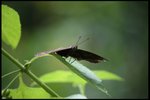 IMG_7380