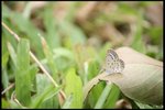 IMG_7467