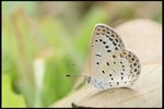 IMG_7469