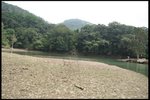 IMG_8461