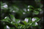 IMG_8861