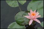 IMG_8875