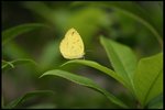 IMG_8986