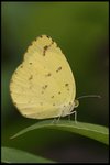 IMG_8993