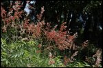 IMG_9046