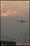 IMG_0304