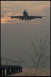 IMG_0305