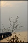 IMG_0308