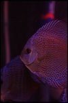 IMG_1077