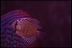 IMG_1081