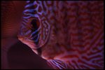 IMG_1093