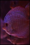 IMG_1116