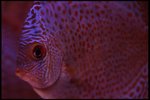 IMG_1125