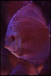 IMG_1131