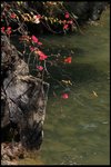 IMG_1431