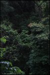 IMG_4810
