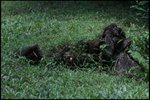IMG_4820