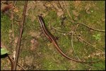 IMG_4826