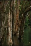 IMG_4832