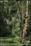 IMG_4842