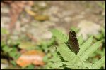 IMG_4862
