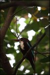 IMG_6151