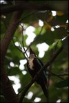 IMG_6152