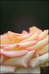 IMG_7543