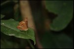 IMG_8434