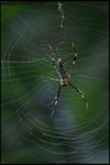 IMG_8443