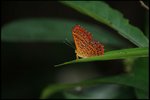 IMG_8447