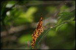 IMG_8457