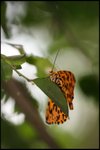 IMG_8461