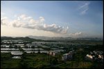 IMG_9585