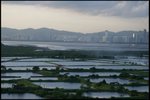 IMG_9629