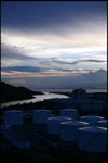 IMG_9884
