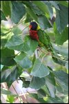IMG_0257