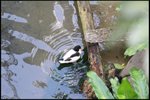 IMG_0261
