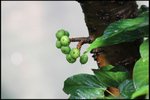 IMG_0264