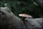 IMG_0273