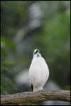 IMG_0274