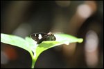 IMG_0386