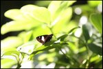 IMG_0390
