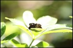 IMG_0399