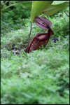 IMG_0417