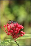 IMG_0505