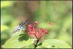 IMG_0517